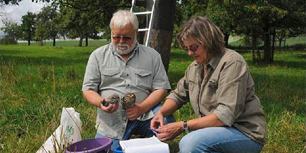 Birds & People – Ganz verrückt auf Vögel