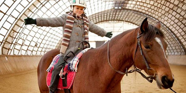 Das Pferd auf dem Balkon Das Pferd auf dem Balkon