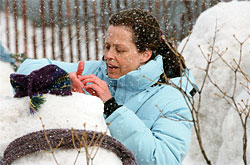 Snow Cake Snow Cake