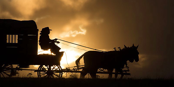 The Homesman The Homesman