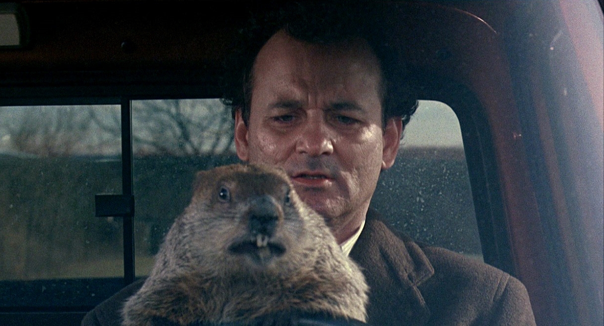 Täglich Grüßt Das Murmeltier Englisch