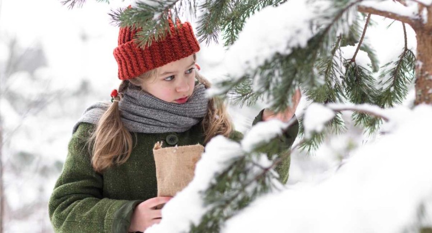 Weihnachten im Zaubereulenwald Weihnachten im Zaubereulenwald