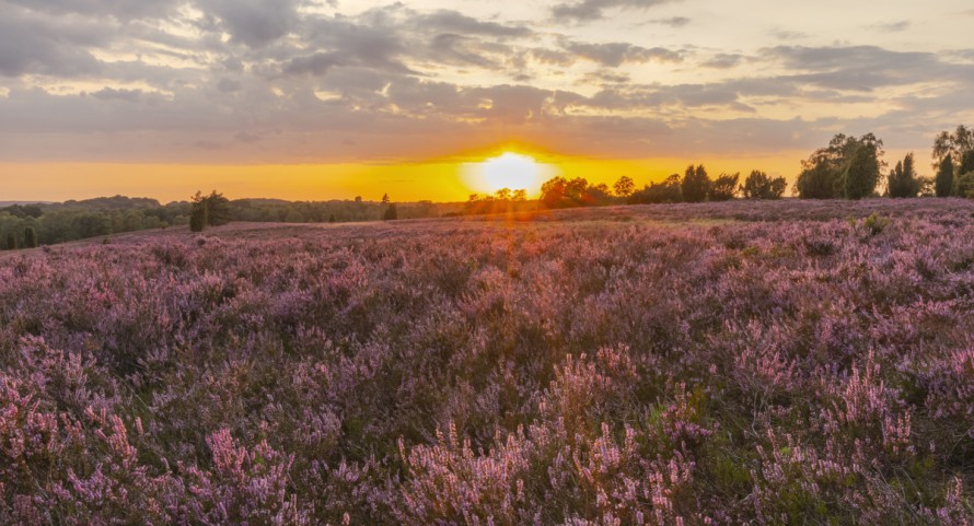 Heimat Natur