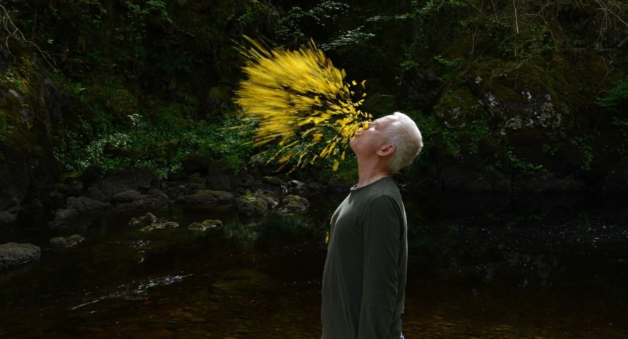 Leaning into the Wind – Andy Goldsworthy