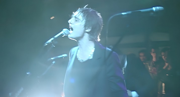 Peter Doherty: Stranger in My Own Skin