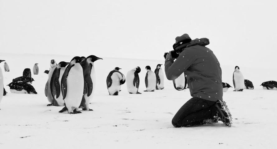 Rückkehr zum Land der Pinguine