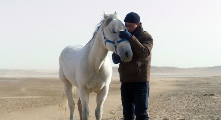 To Kill a Mongolian Horse – Yi Pi Bai Ma De Re Meng