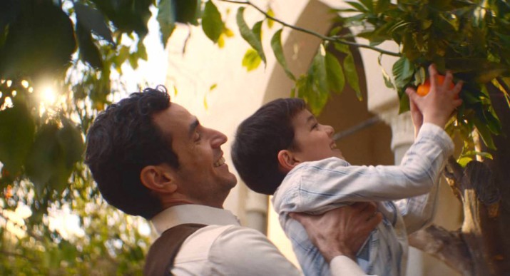 Im Schatten des Orangenbaums