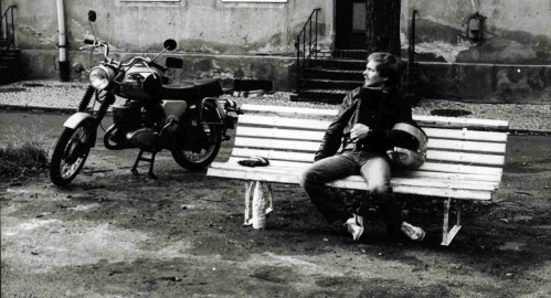 Der Haifischfütterer