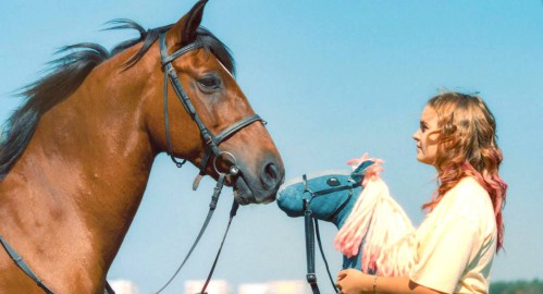 Pferd am Stiel