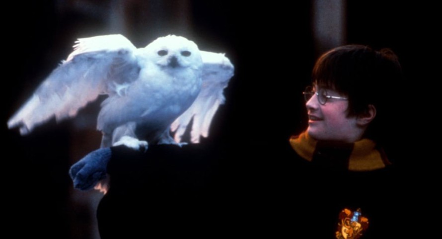 Harry Potter und der Stein der Weisen